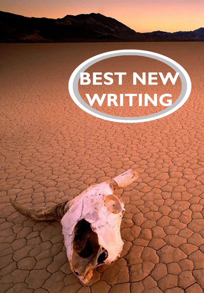 Best New Writing 2017